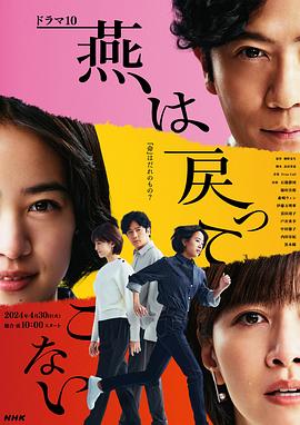 爱马的女孩